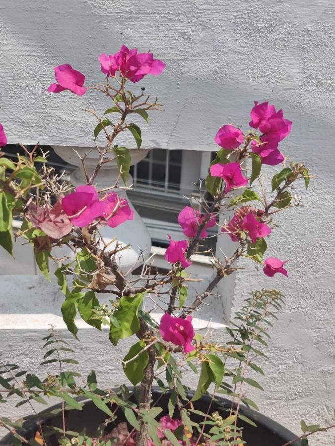 Yoga House Lejlighed Vanivilasa Puram Eksteriør billede